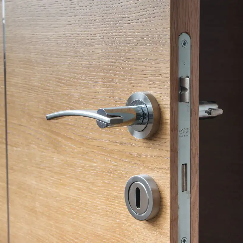 Close-up of a wooden door with a modern, high-quality lock and metal handle.