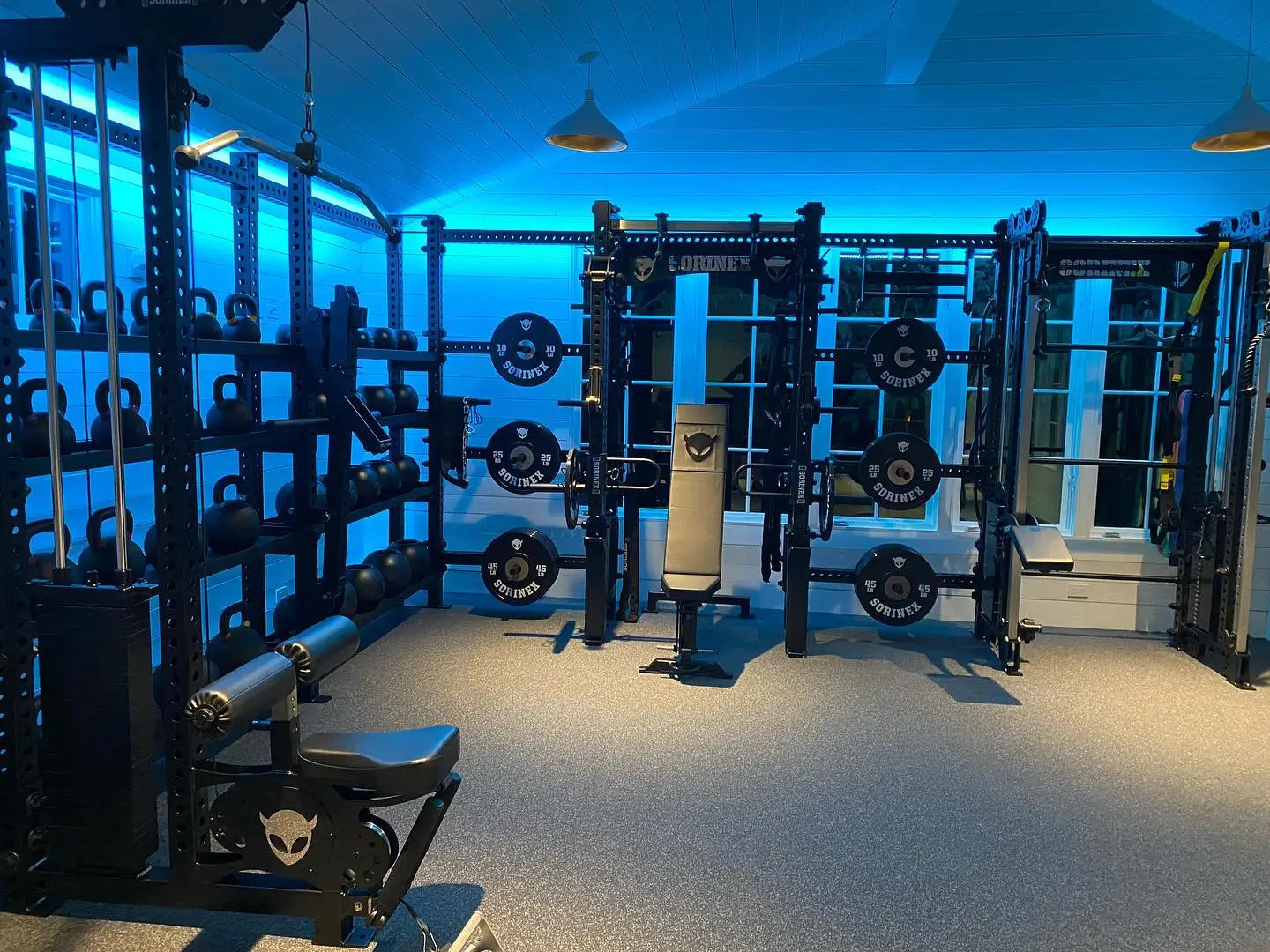 Joe Rogan's home gym featuring Sorinex and Rogue Fitness equipment.