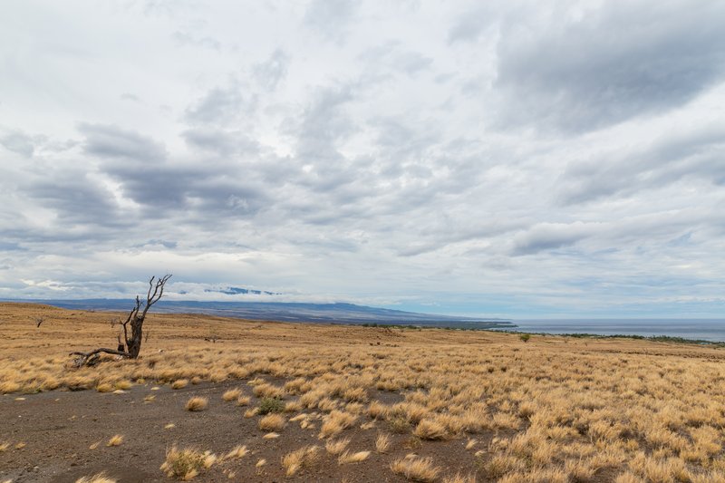 Waimea Big Island Hawaii rolling hills ranch land landscape view